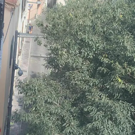 Apartment Les Sureaux Perpignan