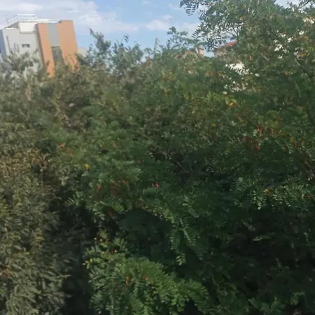 Apartment Les Sureaux