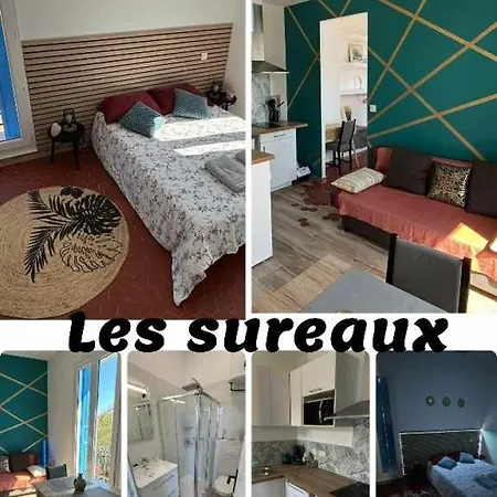 Les Sureaux - Hyper-centre - Design & Wifi - Ideal Visite Perpignan