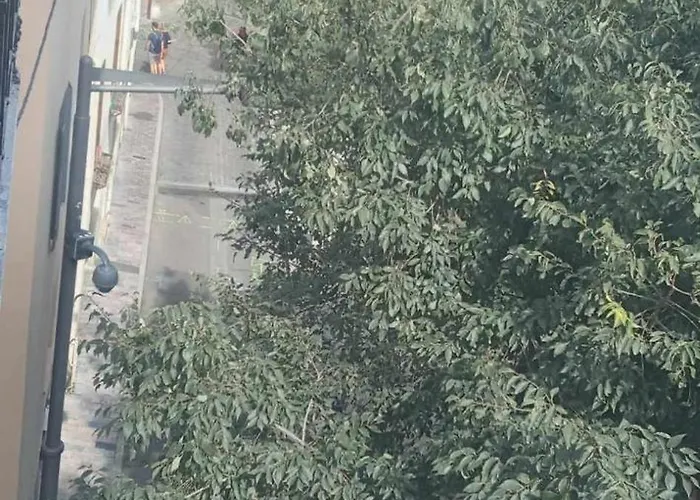 Апартаменты Les Sureaux Перпиньан