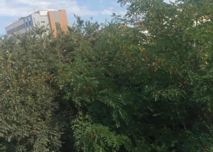 Апартаменты Les Sureaux