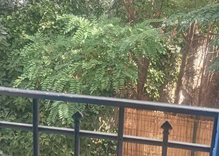 Les Sureaux Perpignan