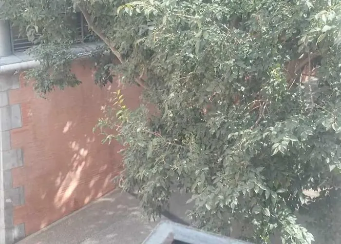 Les Sureaux Appartement Perpignan