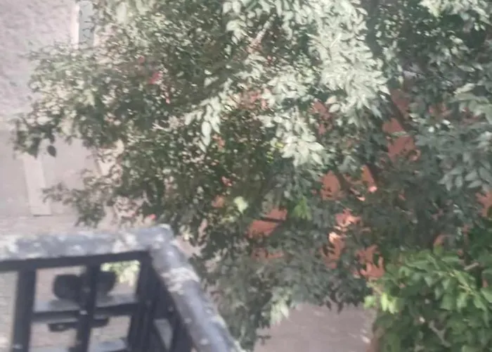 Les Sureaux Appartement Perpignan