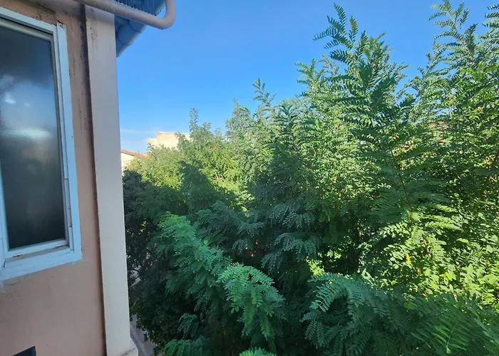 Appartement Les Sureaux